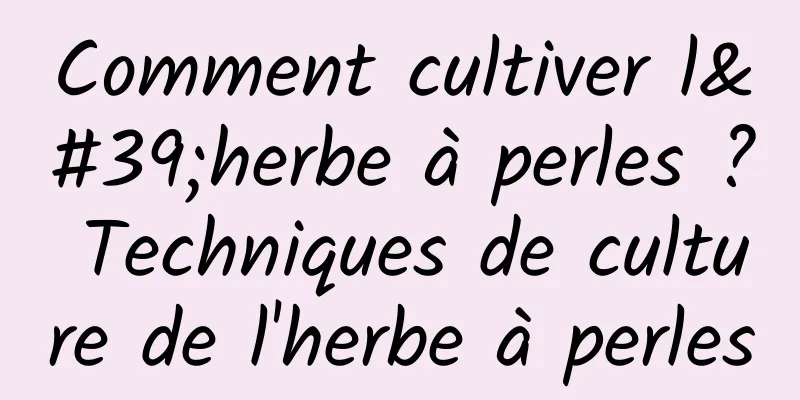 Comment cultiver l'herbe à perles ? Techniques de culture de l'herbe à perles