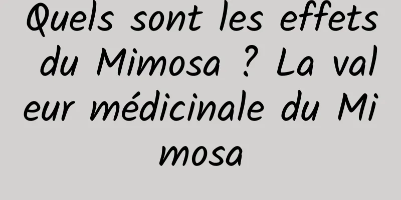 Quels sont les effets du Mimosa ? La valeur médicinale du Mimosa