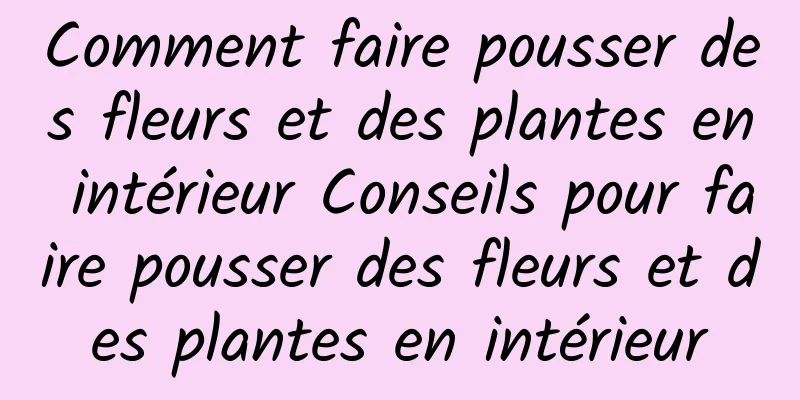 Comment faire pousser des fleurs et des plantes en intérieur Conseils pour faire pousser des fleurs et des plantes en intérieur