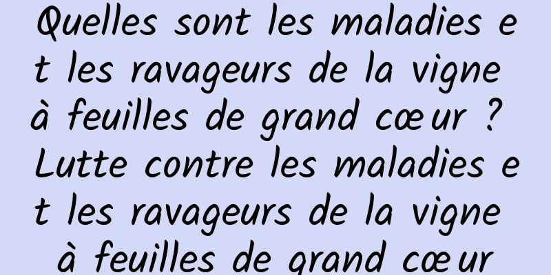 Quelles sont les maladies et les ravageurs de la vigne à feuilles de grand cœur ? Lutte contre les maladies et les ravageurs de la vigne à feuilles de grand cœur