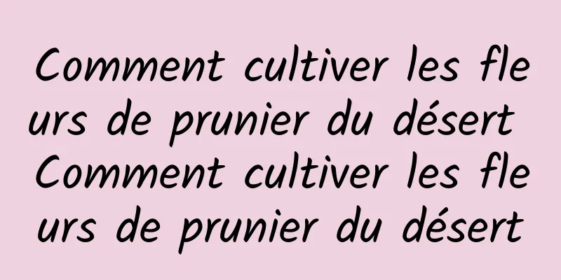 Comment cultiver les fleurs de prunier du désert Comment cultiver les fleurs de prunier du désert