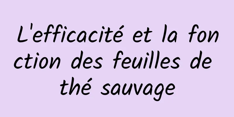 L'efficacité et la fonction des feuilles de thé sauvage