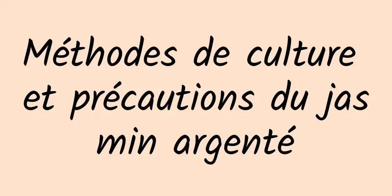 Méthodes de culture et précautions du jasmin argenté