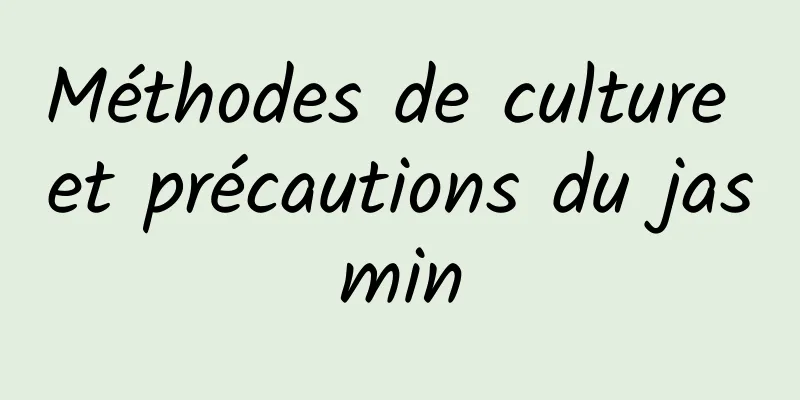 Méthodes de culture et précautions du jasmin