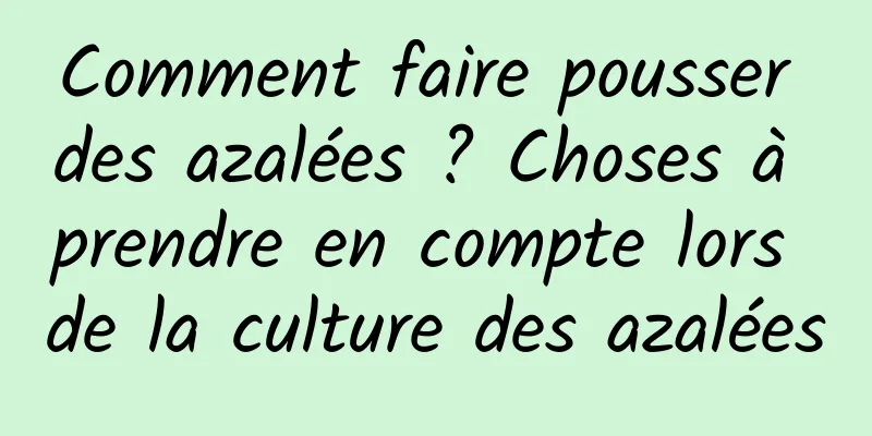 Comment faire pousser des azalées ? Choses à prendre en compte lors de la culture des azalées