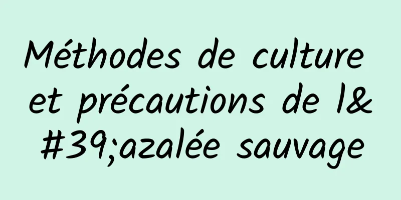 Méthodes de culture et précautions de l'azalée sauvage