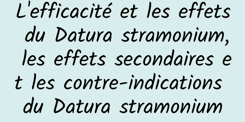 L'efficacité et les effets du Datura stramonium, les effets secondaires et les contre-indications du Datura stramonium