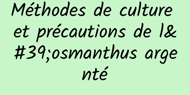 Méthodes de culture et précautions de l'osmanthus argenté