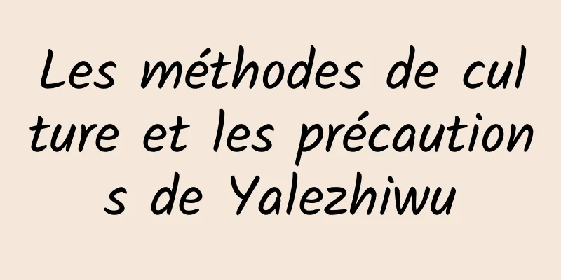 Les méthodes de culture et les précautions de Yalezhiwu