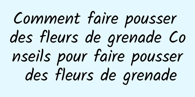 Comment faire pousser des fleurs de grenade Conseils pour faire pousser des fleurs de grenade