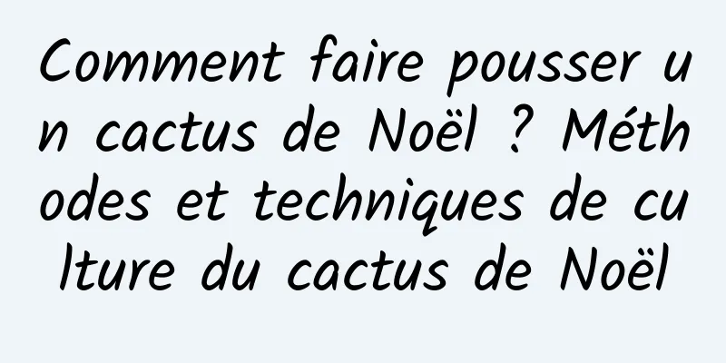 Comment faire pousser un cactus de Noël ? Méthodes et techniques de culture du cactus de Noël