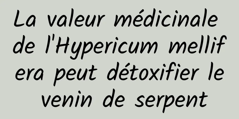 La valeur médicinale de l'Hypericum mellifera peut détoxifier le venin de serpent