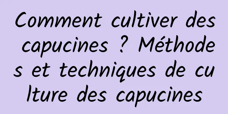 Comment cultiver des capucines ? Méthodes et techniques de culture des capucines