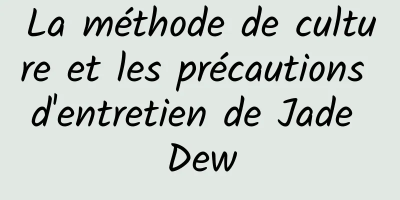 La méthode de culture et les précautions d'entretien de Jade Dew