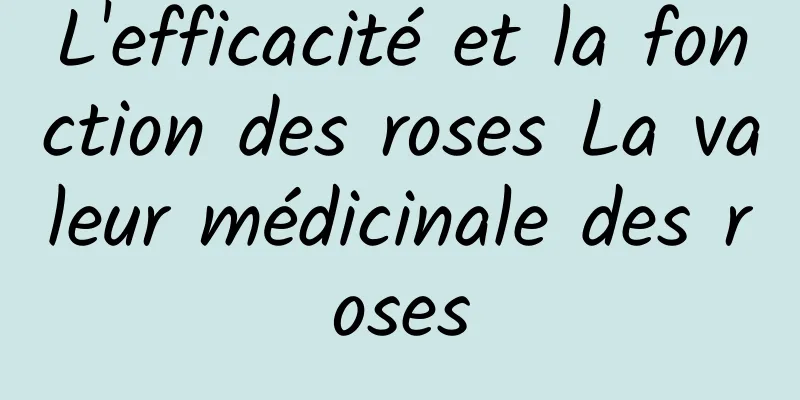 L'efficacité et la fonction des roses La valeur médicinale des roses