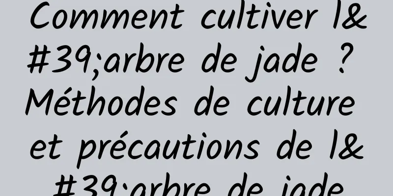 Comment cultiver l'arbre de jade ? Méthodes de culture et précautions de l'arbre de jade