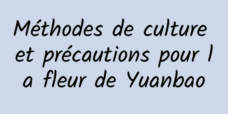 Méthodes de culture et précautions pour la fleur de Yuanbao