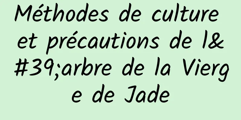 Méthodes de culture et précautions de l'arbre de la Vierge de Jade