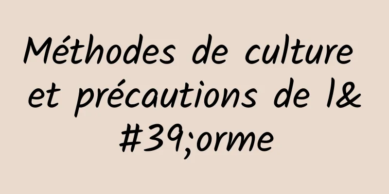 Méthodes de culture et précautions de l'orme