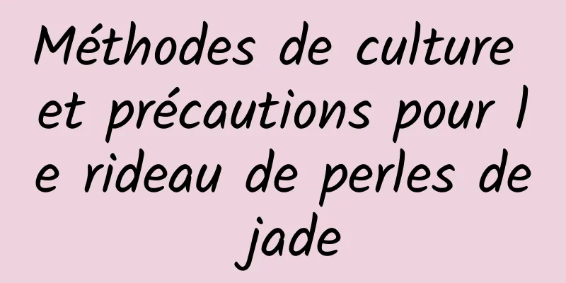 Méthodes de culture et précautions pour le rideau de perles de jade