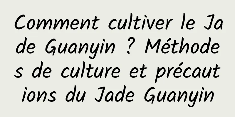 Comment cultiver le Jade Guanyin ? Méthodes de culture et précautions du Jade Guanyin