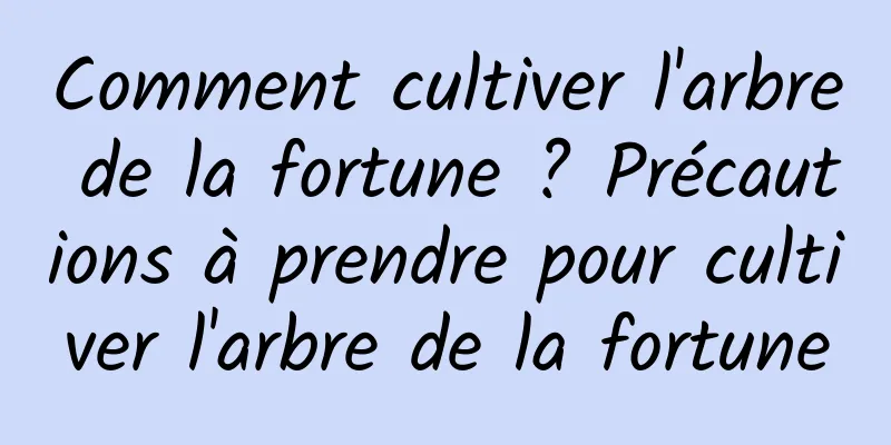 Comment cultiver l'arbre de la fortune ? Précautions à prendre pour cultiver l'arbre de la fortune