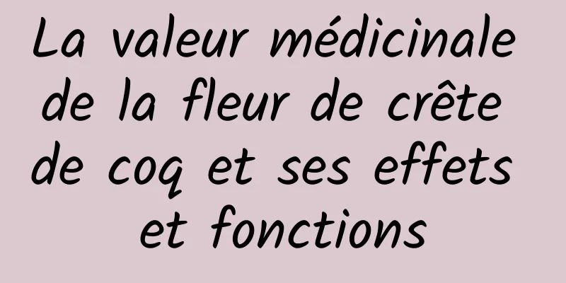 La valeur médicinale de la fleur de crête de coq et ses effets et fonctions