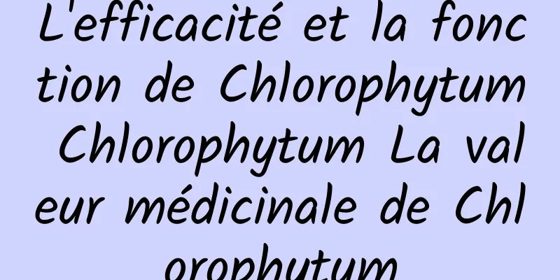 L'efficacité et la fonction de Chlorophytum Chlorophytum La valeur médicinale de Chlorophytum