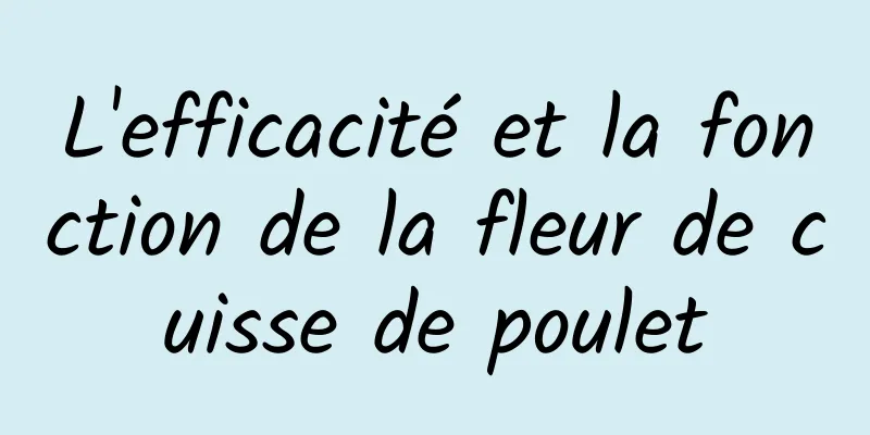 L'efficacité et la fonction de la fleur de cuisse de poulet