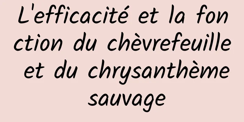 L'efficacité et la fonction du chèvrefeuille et du chrysanthème sauvage