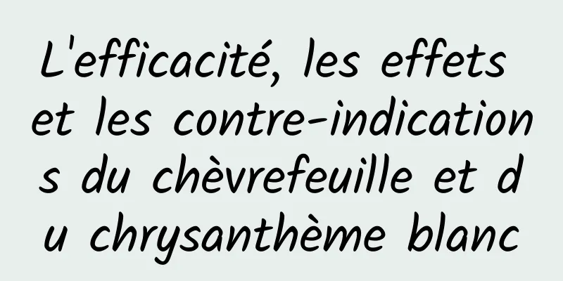 L'efficacité, les effets et les contre-indications du chèvrefeuille et du chrysanthème blanc