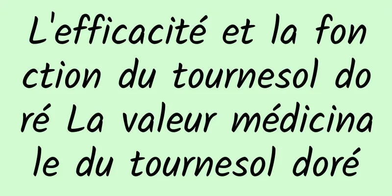 L'efficacité et la fonction du tournesol doré La valeur médicinale du tournesol doré