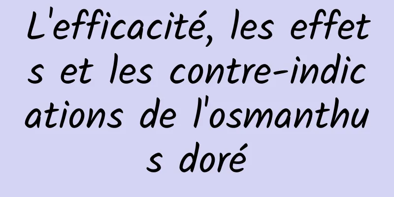 L'efficacité, les effets et les contre-indications de l'osmanthus doré