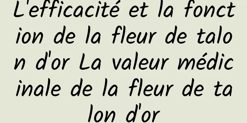 L'efficacité et la fonction de la fleur de talon d'or La valeur médicinale de la fleur de talon d'or