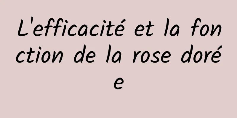 L'efficacité et la fonction de la rose dorée