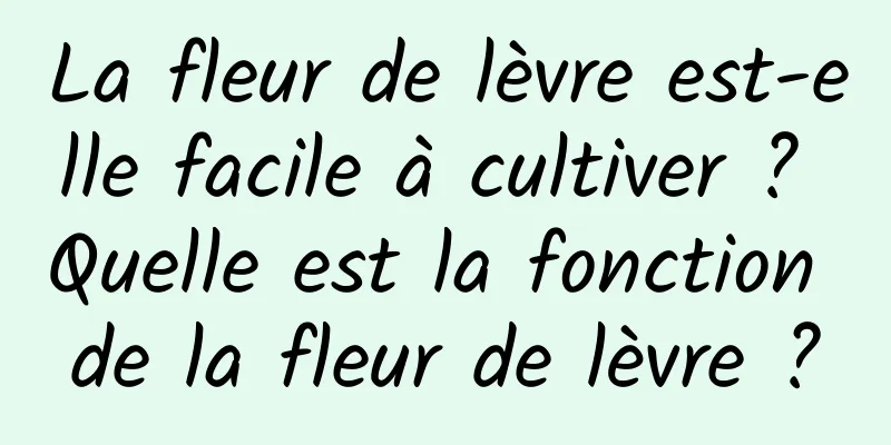 La fleur de lèvre est-elle facile à cultiver ? Quelle est la fonction de la fleur de lèvre ?