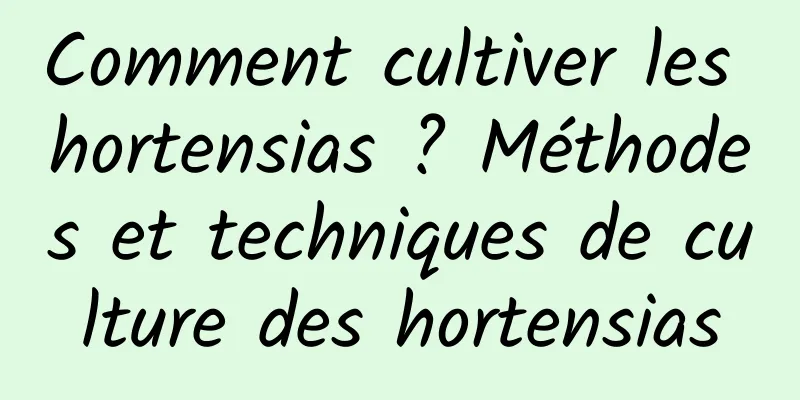 Comment cultiver les hortensias ? Méthodes et techniques de culture des hortensias