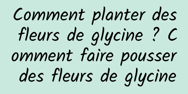 Comment planter des fleurs de glycine ? Comment faire pousser des fleurs de glycine