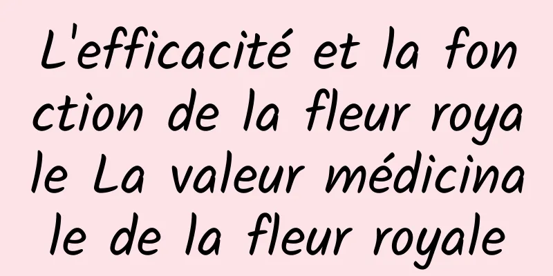 L'efficacité et la fonction de la fleur royale La valeur médicinale de la fleur royale