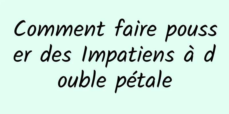 Comment faire pousser des Impatiens à double pétale