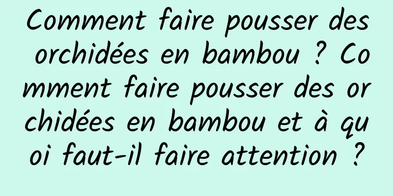 Comment faire pousser des orchidées en bambou ? Comment faire pousser des orchidées en bambou et à quoi faut-il faire attention ?