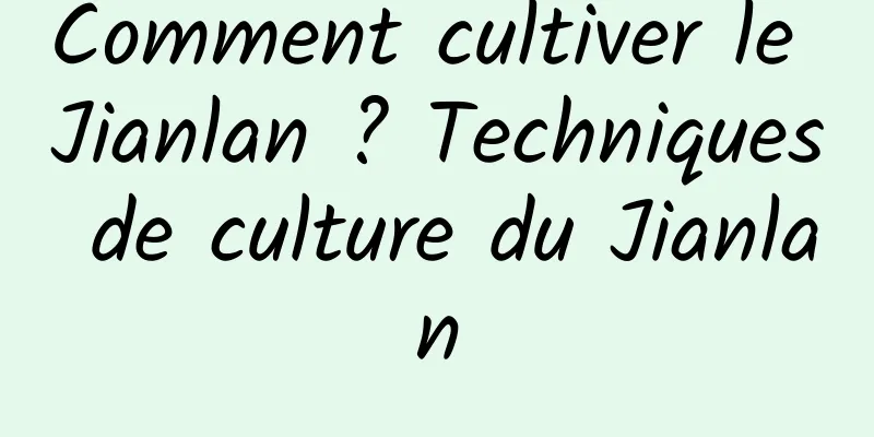 Comment cultiver le Jianlan ? Techniques de culture du Jianlan