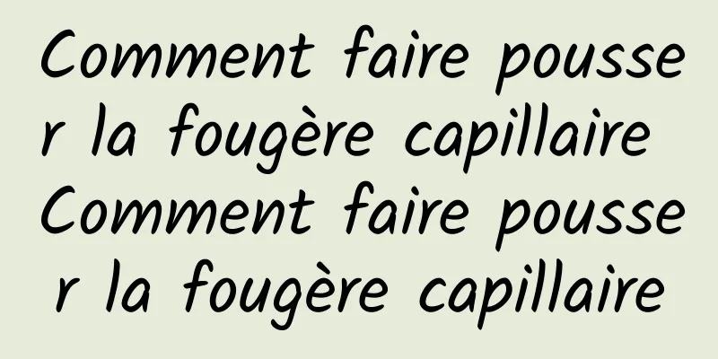 Comment faire pousser la fougère capillaire Comment faire pousser la fougère capillaire