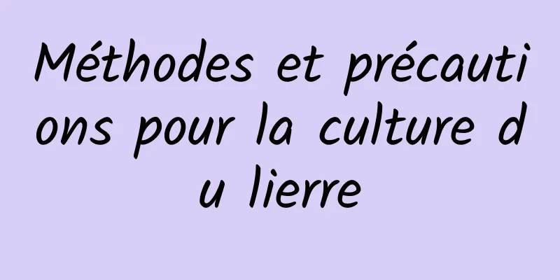 Méthodes et précautions pour la culture du lierre