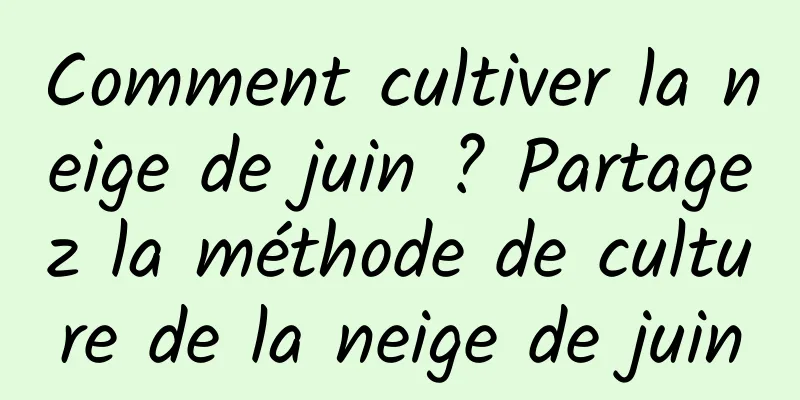 Comment cultiver la neige de juin ? Partagez la méthode de culture de la neige de juin