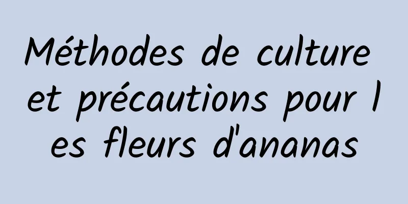 Méthodes de culture et précautions pour les fleurs d'ananas