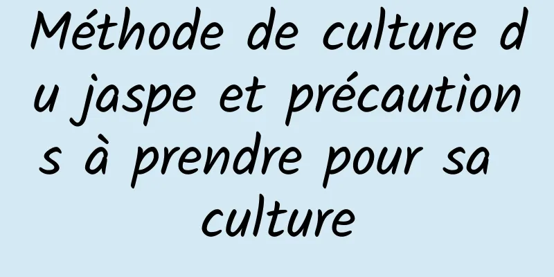 Méthode de culture du jaspe et précautions à prendre pour sa culture