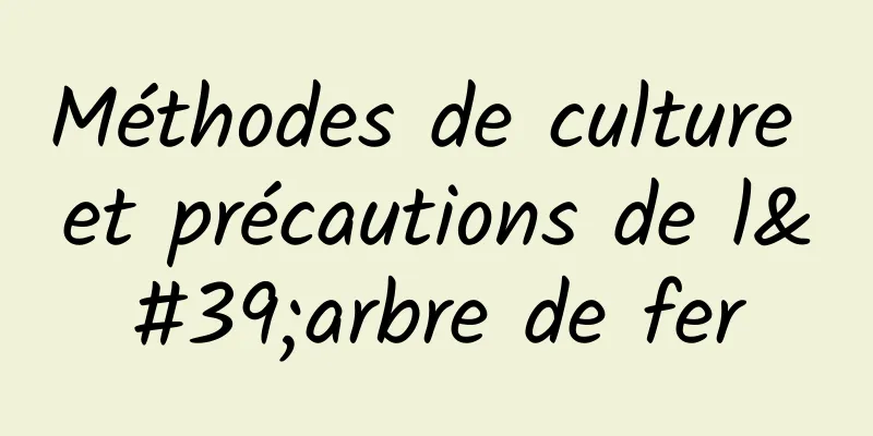 Méthodes de culture et précautions de l'arbre de fer