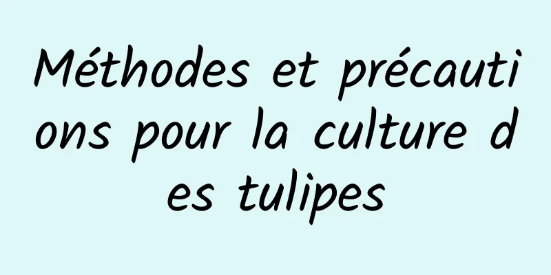 Méthodes et précautions pour la culture des tulipes