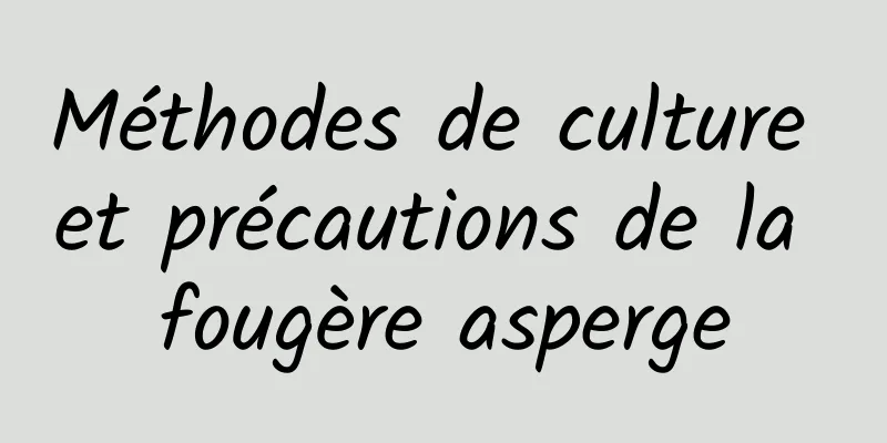 Méthodes de culture et précautions de la fougère asperge